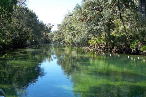 Blue Springs River Florida River Nature Water