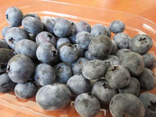 Blueberries Berries Fruit Jagoda Violet