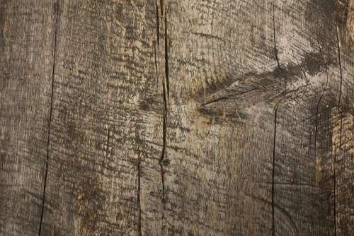 Board Wood Grain Old Texture Panels Bohlen