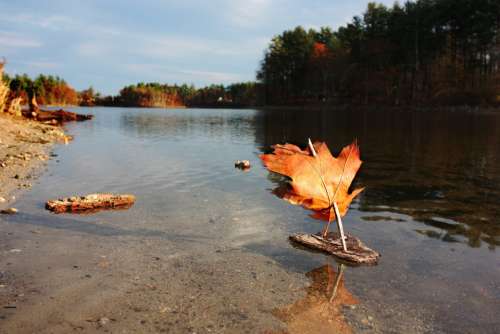 Boat Toy Play Fall Pond Autumn Leaf Season Sail