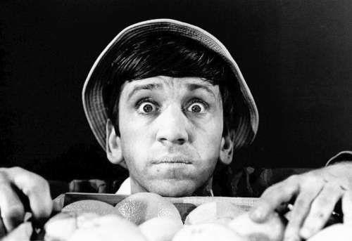 Bob Denver Actor Comedy Television Tv Retro