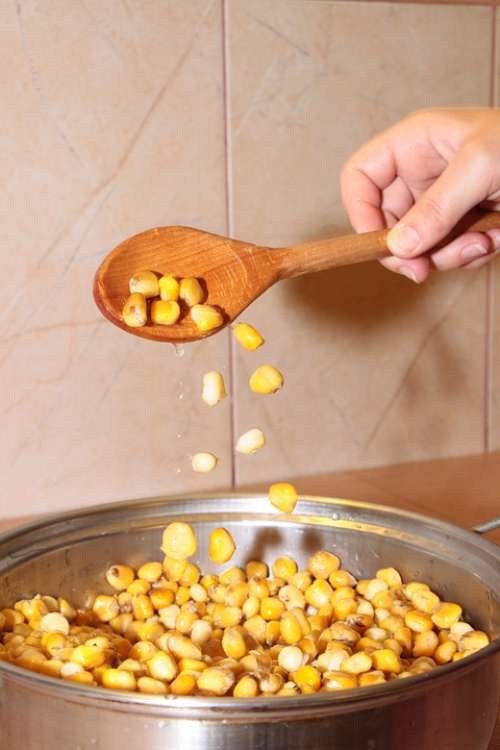 Boiled Cereals Corn Food Drink Fresh Healthy