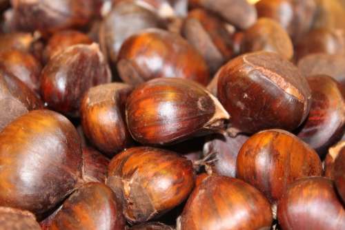 Boiled Chestnuts Cooked Recipe Sweet Food Drink