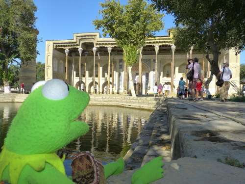 Bolo Hauz Mosque Columnar Kermit Frog