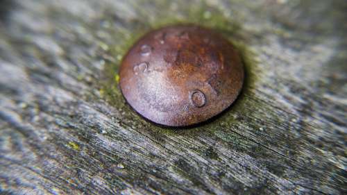 Bolt Rust Wood Rivet Metal Old Nail