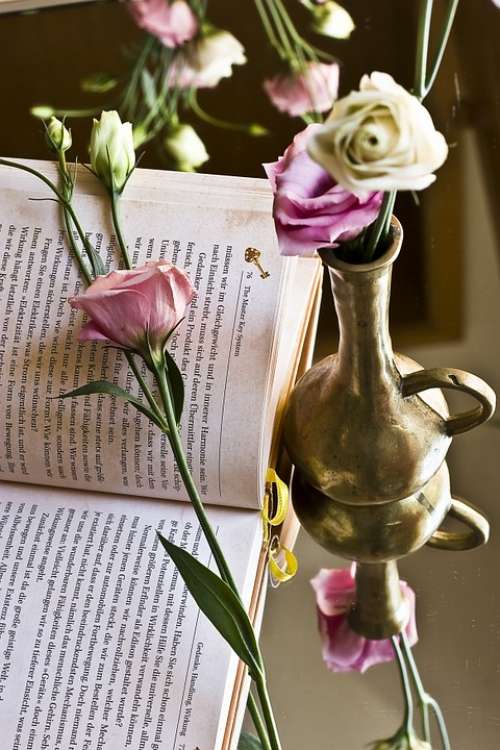 Book Rose Novel Read Pink Flora Blossom Bloom