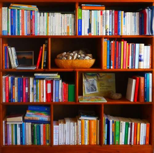 Bookshelf Books Profession Read Education
