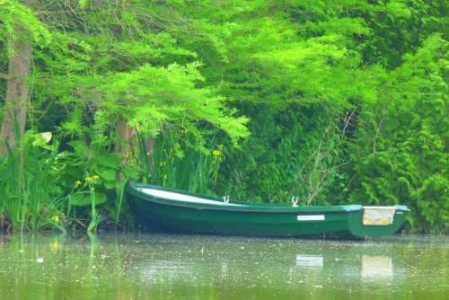 Boat Rowing Boat Lake Nature Water Trees