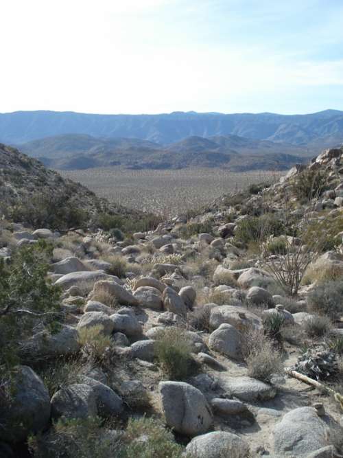 Borrego California Desert Rocks Landscape America