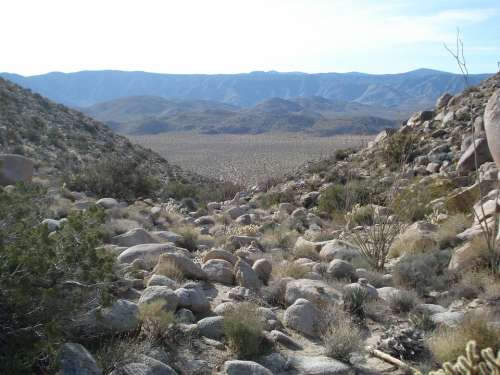 Borrego California Desert Rocks Landscape America