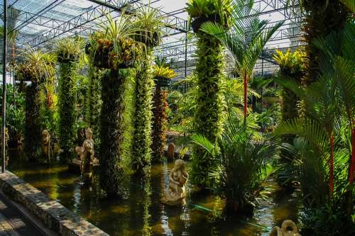 Botanical Garden Plant Water