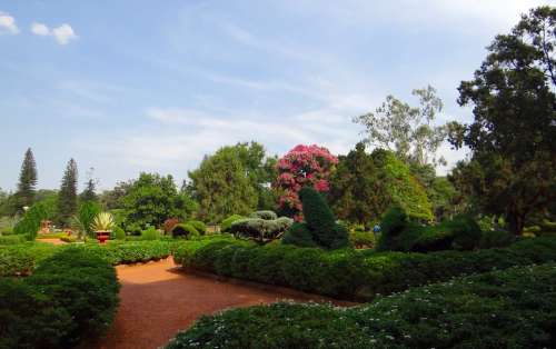 Botanical Garden Lal Bagh Park Garden Greenery