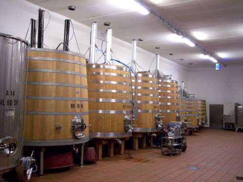 Botti Container Wooden Barrels Wine Cellar