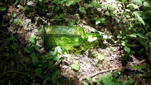 Bottle Glass Green Garbage Pollution Environment