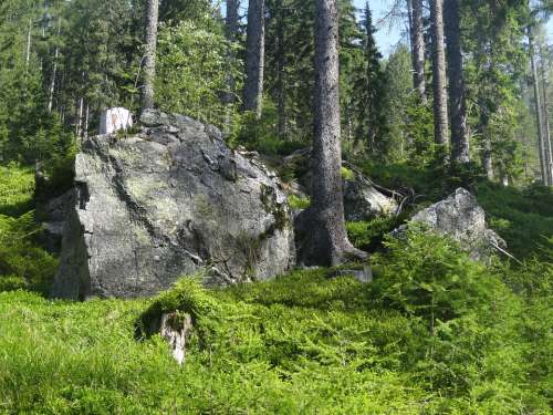 Boulder Rock Stones Nature Forest Mountain Green