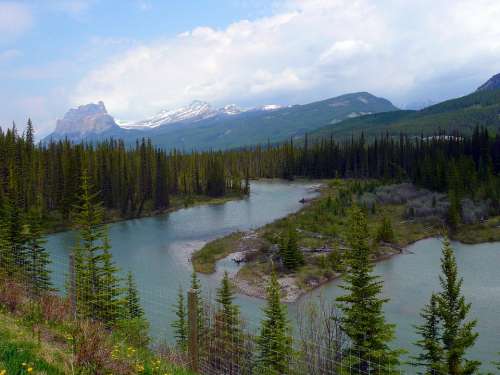 Bow River Canadien Rockys Mountains River Water
