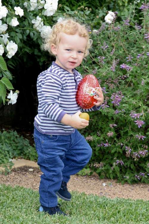 Boy Little Boy Sweet Toddler Easter Easter Egg