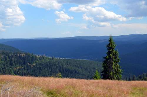 Brad Height View The Apuseni Mountains Cluj County