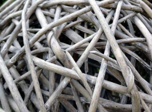 Braid Wood Pasture Branches Aesthetic Ball