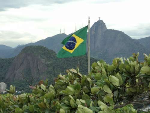 Brazil Flag Green Flagpole Rio De Janeiro