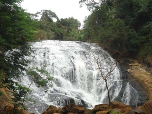 Brazil Pedra Bonita Mg Waterfall Nature Green