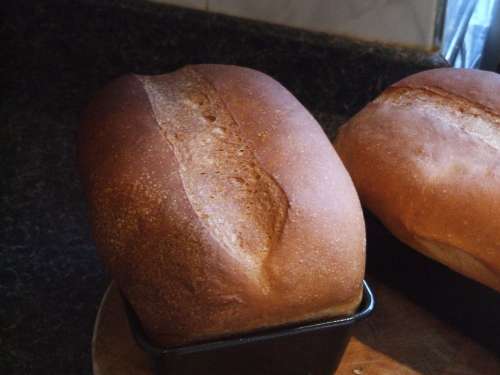 Bread Loaves Baking Loaf Fresh Food Wheat White