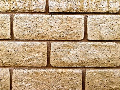 Brick Wall Bricks Wall Texture Building Concrete