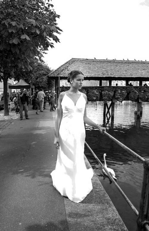 Bride Wedding Dress Wedding Dress White Woman