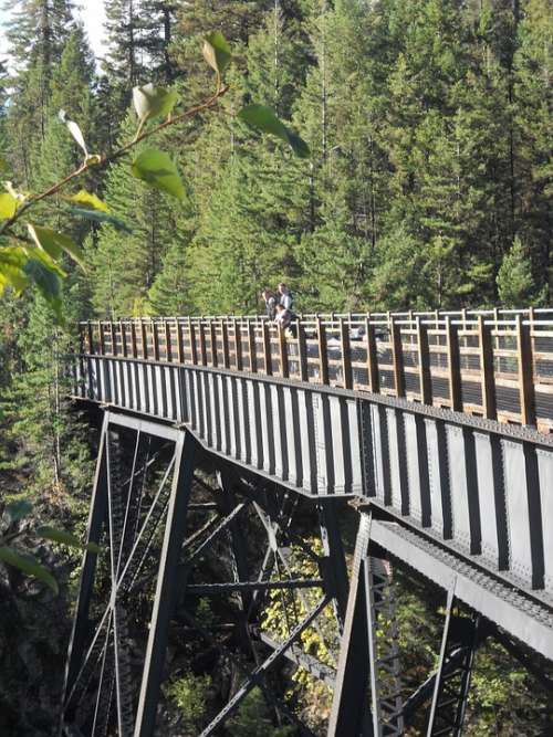 Bridge Canada British Columbia Princeton Forest