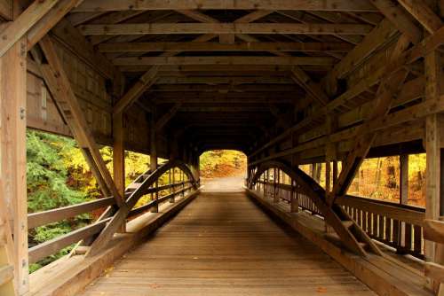 Bridge Covered Bridge Forest Forest View Autumn