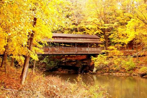 Bridge Covered Bridge Autumn Fall Leaves Yellow