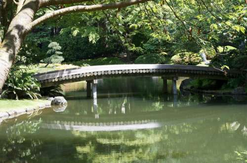Bridge Wood Bridge Peaceful Spot Calmness
