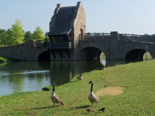 Bridge Geese Nature Lake Park Medieval