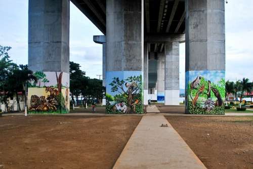 Bridge Graffiti Park Concrete Spraypaint Texture