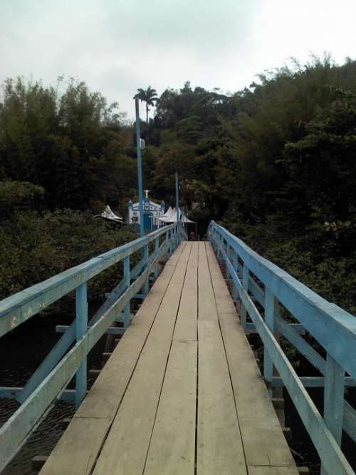 Bridge Rio Landscape