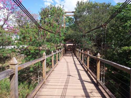 Bridge In Pirenópolis Path Trees