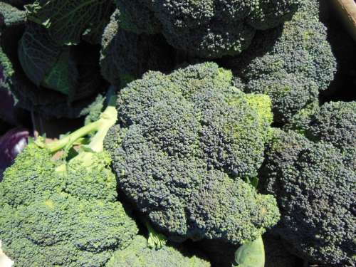 Broccoli Vegetables Fresh Vegetable Market Market