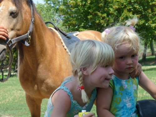 Brothers And Sisters Horse Children Friends Blond