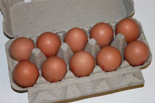 Brown Cartons Eggs Hens Paper White Food Drink