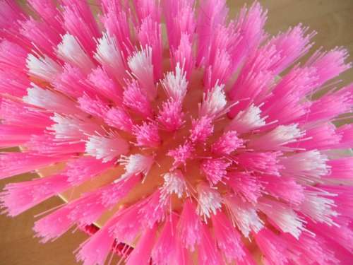 Brush Bristles Close Up Pink Striegel