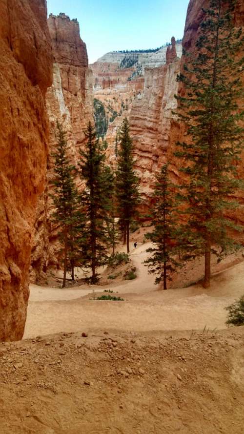 Bryce Canyon Trees Fir Rock Formation Erosion Utah