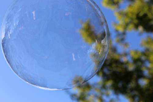 Bubble Bubbles Tree Sky Nature Leaves