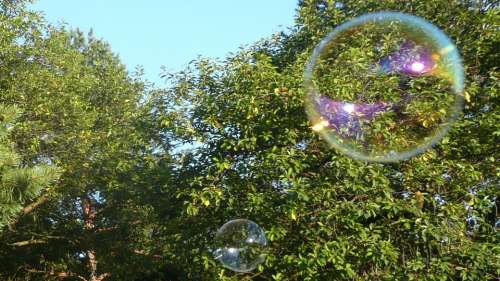 Bubbles Flying Rainbow Bubble Soap Bubble Colorful
