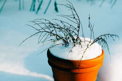 Bucket Flower Pot Snow Winter