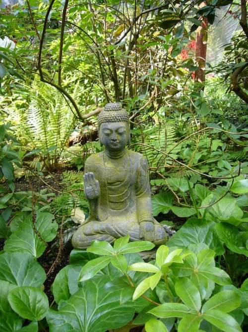 Budda Stone Figure Religious Religion Statue Plant