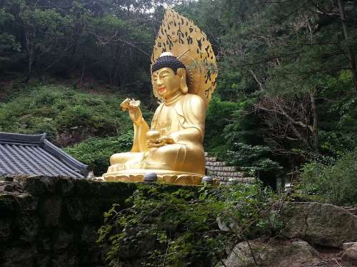 Buddha Korea Wisdom Asian Statue Asia Buddhism