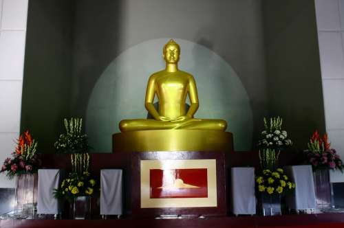 Buddha Monk Gold Buddhism Meditation Thailand