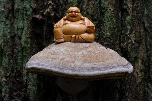 Buddha Meditation Spirituality Zen Image Rest