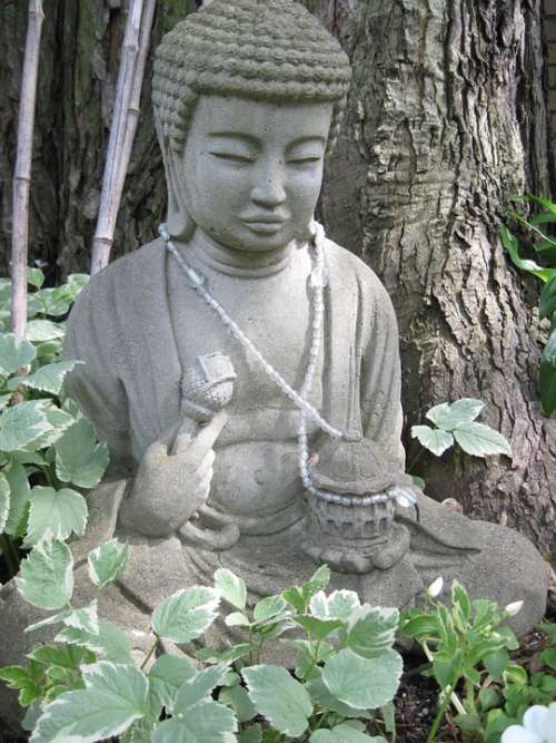 Buddha Buddhism Meditation Yoga Japan China Asia