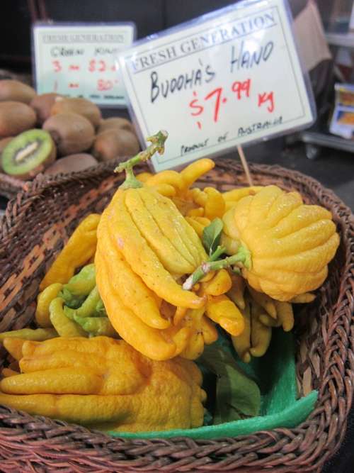 Buddha'S Hand Fruit Citrus Medica Fingered Citron